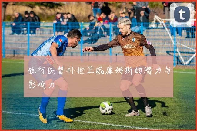 独行侠替补控卫威廉姆斯的潜力与影响力