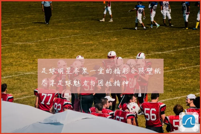足球明星齐聚一堂的精彩合照壁纸尽享足球魅力与团结精神