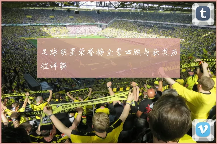 足球明星荣誉榜全景回顾与获奖历程详解