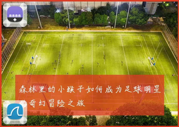 森林里的小猴子如何成为足球明星的奇幻冒险之旅