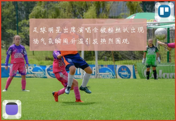 足球明星出席演唱会被粉丝认出现场气氛瞬间升温引发热烈围观