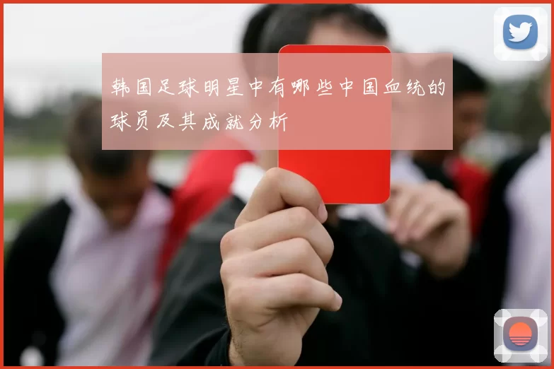 韩国足球明星中有哪些中国血统的球员及其成就分析