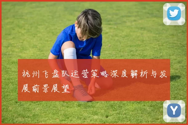 杭州飞盘队运营策略深度解析与发展前景展望