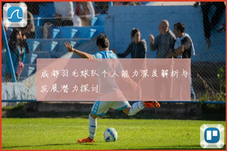 成都羽毛球队个人能力深度解析与发展潜力探讨
