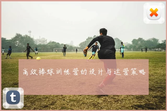 高效棒球训练营的设计与运营策略