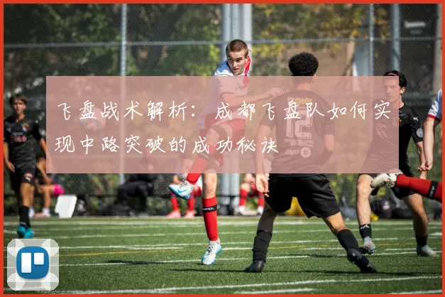 飞盘战术解析：成都飞盘队如何实现中路突破的成功秘诀