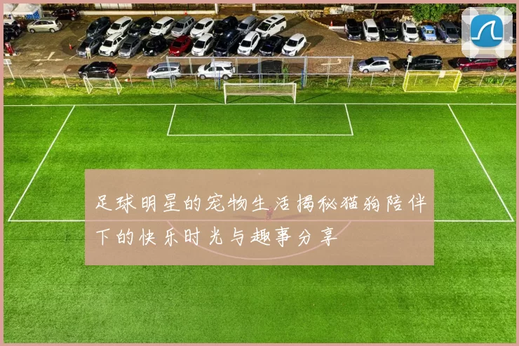 足球明星的宠物生活揭秘猫狗陪伴下的快乐时光与趣事分享