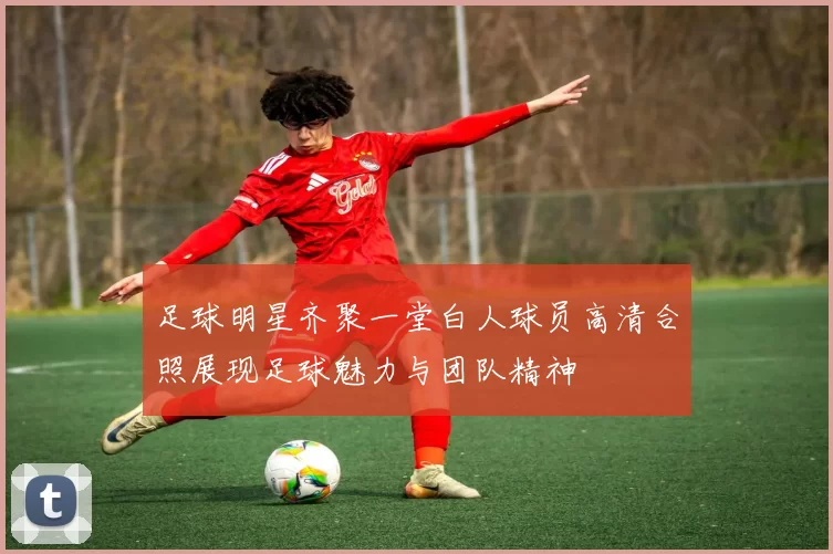 足球明星齐聚一堂白人球员高清合照展现足球魅力与团队精神