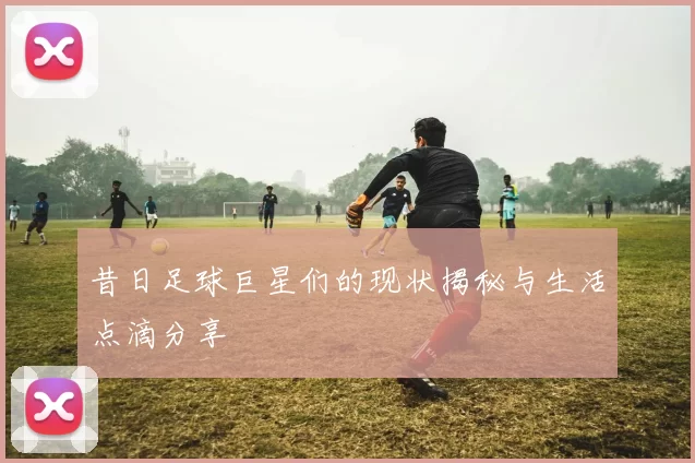 昔日足球巨星们的现状揭秘与生活点滴分享
