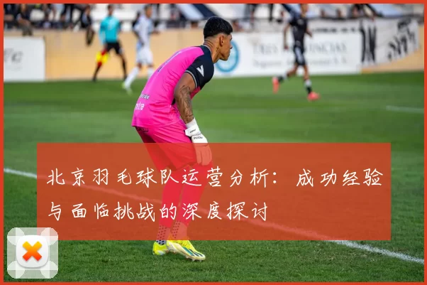 北京羽毛球队运营分析：成功经验与面临挑战的深度探讨