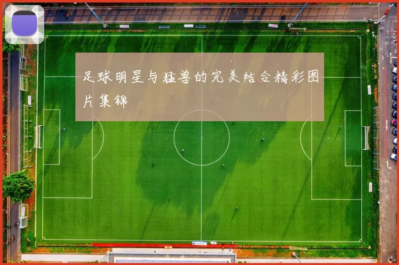 足球明星与猛兽的完美结合精彩图片集锦