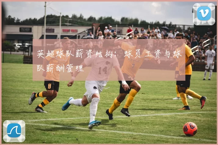 英超球队薪资结构：球员工资与球队薪酬管理