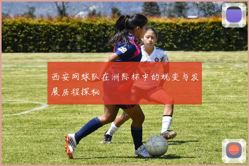 西安网球队在洲际杯中的蜕变与发展历程探秘