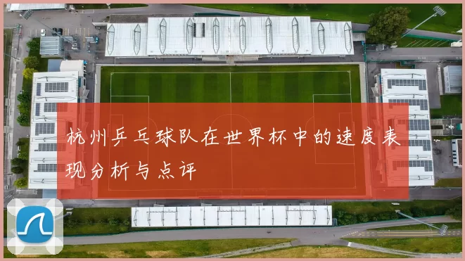 杭州乒乓球队在世界杯中的速度表现分析与点评