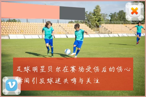 足球明星贝尔在赛场受伤后的伤心瞬间引发球迷共鸣与关注